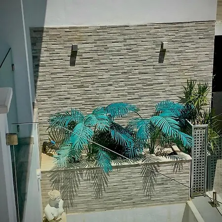 Vetori Benalmadada * Benalmadena